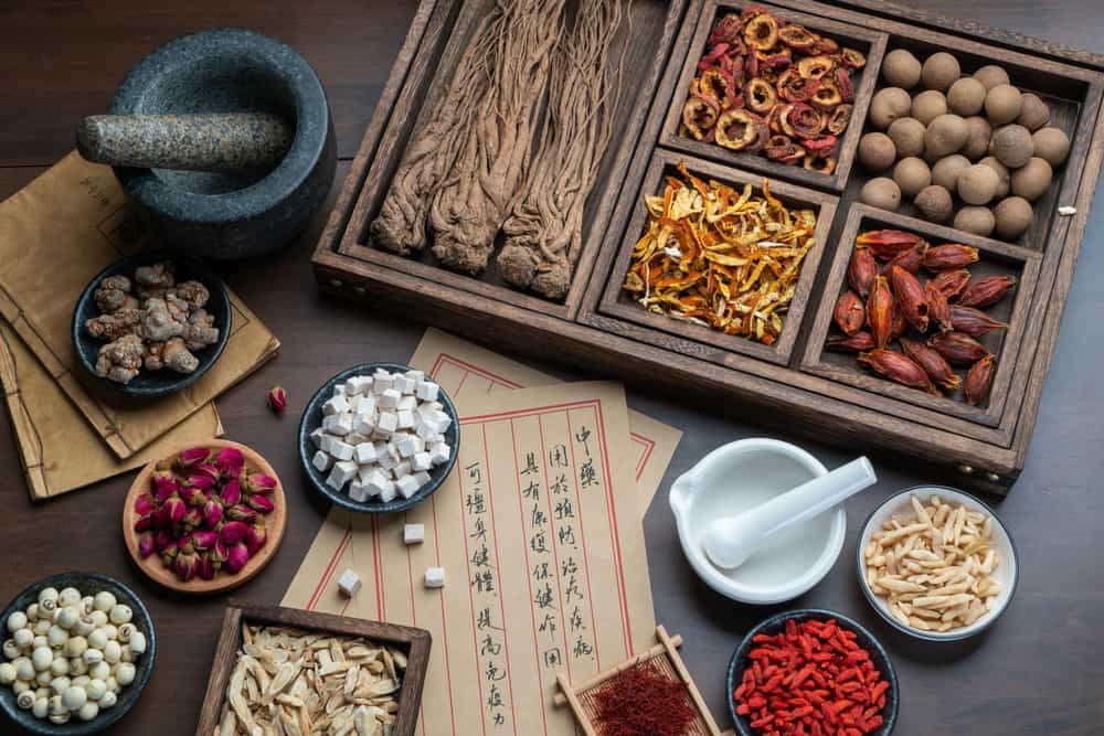 thuoc-nam-chua-ung-thu-buong-trung
