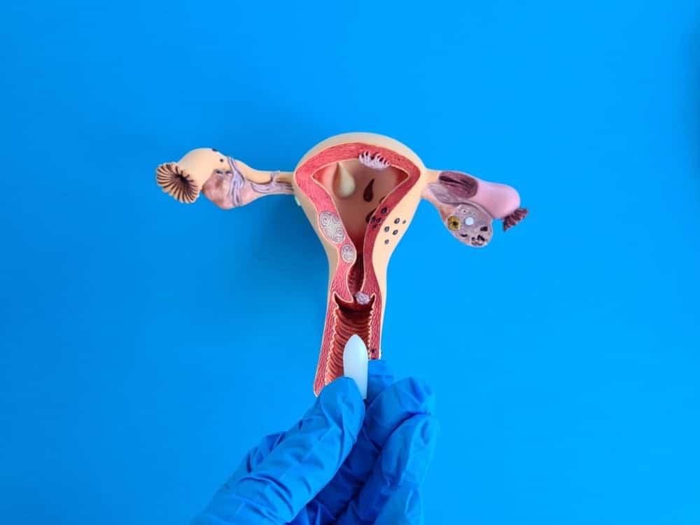 Hướng dẫn chi tiết cách sử dụng viên đặt phụ khoa