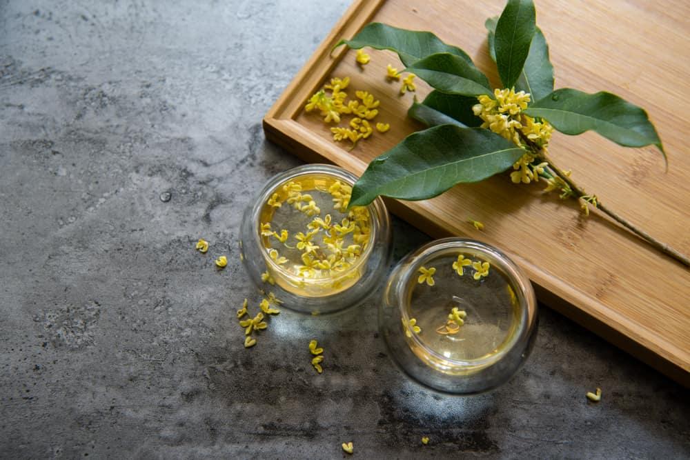 3 cách pha trà hoa mộc thơm ngon chuẩn vị, giữ trọn dưỡng chất