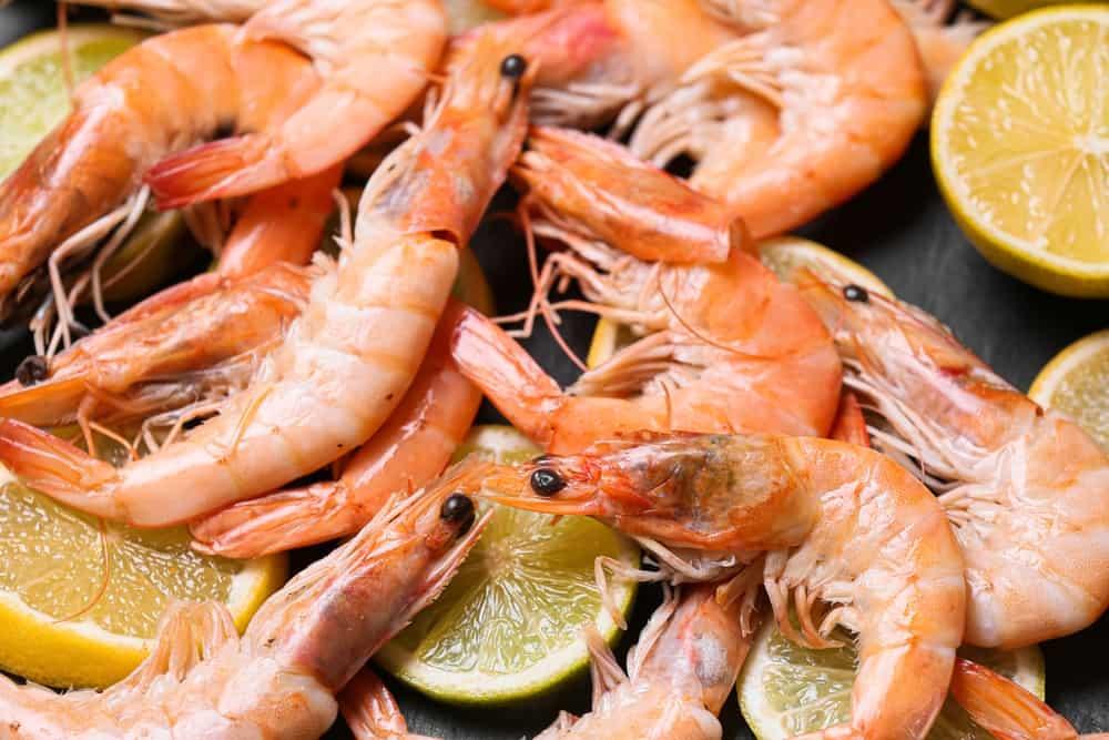 Bị ho ăn tôm được không? Cách ăn tôm khi bị ho