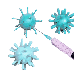 HPV và Ung thư CTC
