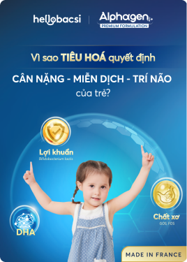 CTA Banner